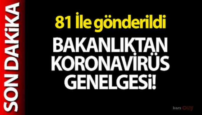 81 İl Valiliğine Koronavirüs Tedbirlerinin Gözden Geçirilmesi Genelgesi Gönderildi