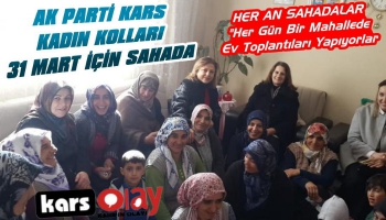 Ak Parti Kars Kadın Kolları 31 Mart İçin Sahada