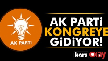 Ak Parti Nisan Ayında Kongreye Gidiyor