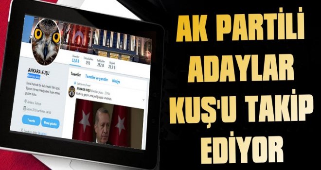 AK Partili Adaylar Kuş’u Takip Ediyor