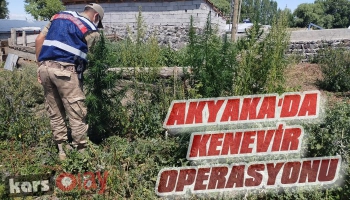 Akyaka'da Kenevir Operasyonu