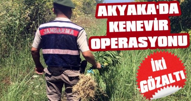 Akyaka'da Kenevir Operasyonu: 2 Gözaltı