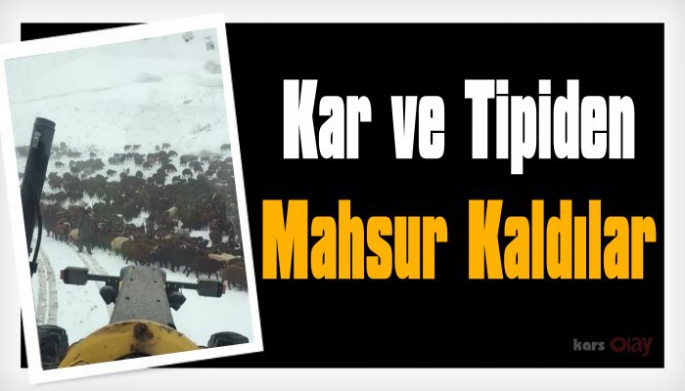 Aniden Bastıran Kar ve Tipi Nedeniyle Mahsur Kaldılar