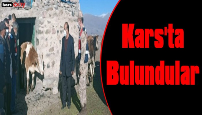 Ardahan'da Çalınan Hayvanlar Kars'ta Bulundu