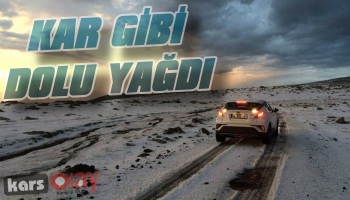 Ardahan'da Kar Gibi Dolu Yağdı