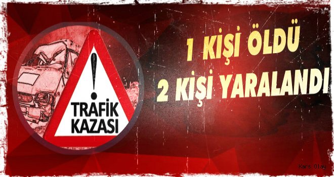 Ardahan'da Trafik Kazası: 1 Ölü, 2 Yaralı