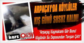 Arpaçay'da Köylüler Kış Günü Susuz Kaldı!