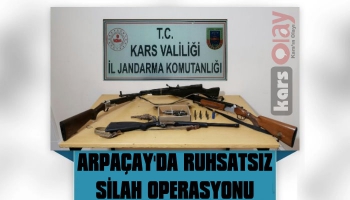 Arpaçay'da Ruhsatsız Silah Operasyonu