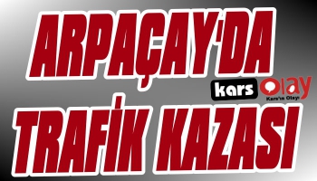 Arpaçay'da Trafik Kazası: 1 Ölü