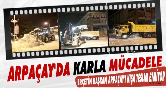 Arpaçay'da Kar Temizliği Devam Ediyor