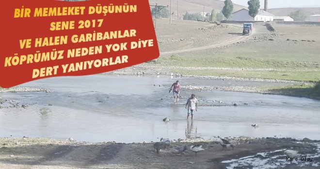 Arpaçay'da Köylülerin Köprü Çilesi