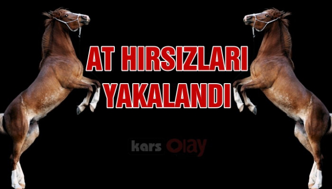 At hırsızları yakayı ele verdi