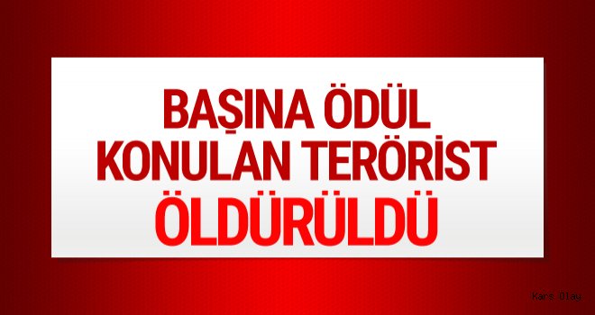 Başına 1 Milyon Lira Ödül Konulan Terörist Kağızman'da Öldürüldü