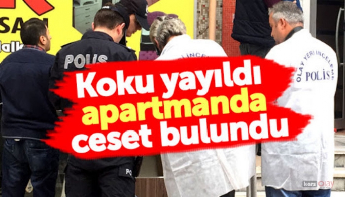 Bodrum Katında Sandığa gizlenmiş Kadın Cesedi Bulundu