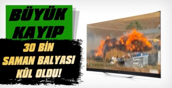 Büyük Kayıp! 30 Bin Saman Balyası Yandı