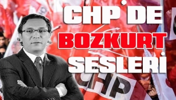 CHP'de Bozkurt Sesleri