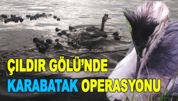 Çıldır Gölü'nde, Karabatak Operasyonu