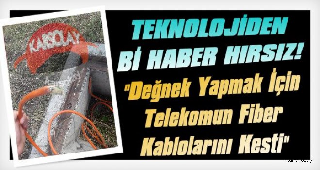 Çoban Değneği Yapmak İçin Telekom Kablosunu Kesti