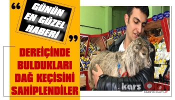 Dereiçinde Buldukları Dağ Keçisini Sahiplendiler