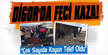 Digor'da Feci Kaza! 