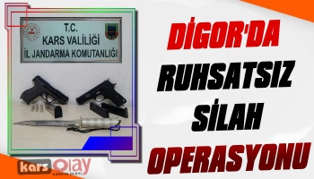 Digor'da Ruhsatsız Silah Operasyonu