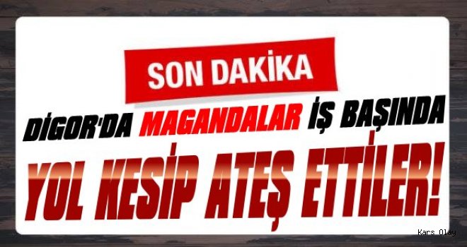 Digor'da Magandalar İş Başında!