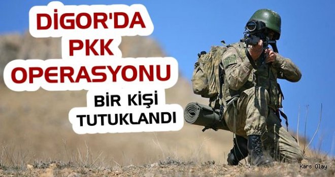 Digor'da PKK Operasyonu: 1 Kişi Tutuklandı