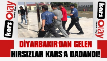 Diyarbakır'dan Gelen Hırsızlar Kars'a Dadandı