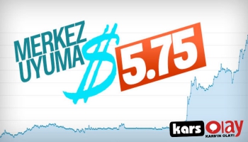 Dolar 5.81'i gördü