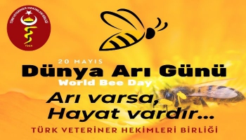 Dünya Arı Günü