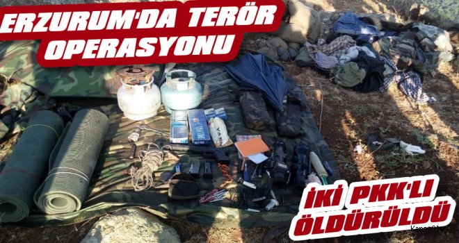 Erzurum'da Terör Operasyonu: 2 Terörist Öldürüldü