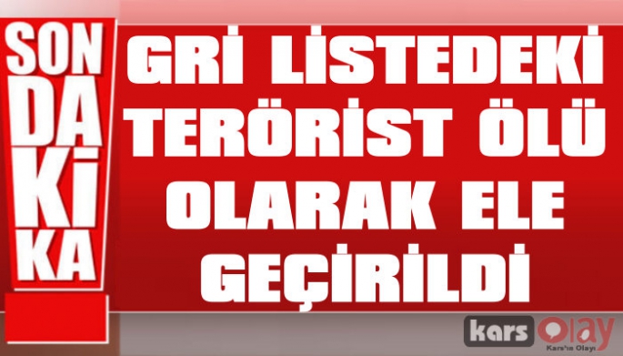 Gri Listedeki Terörist Ölü Ele Geçirildi