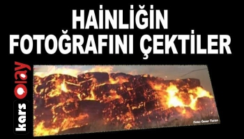 Hainliğin Fotoğrafı Çekildi!