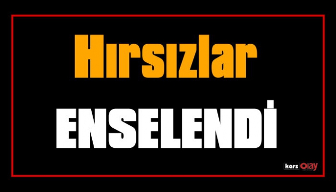 Hayvan Hırsızları Enselendi