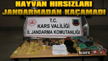 Hayvan Hırsızları Jandarmadan Kaçamadı