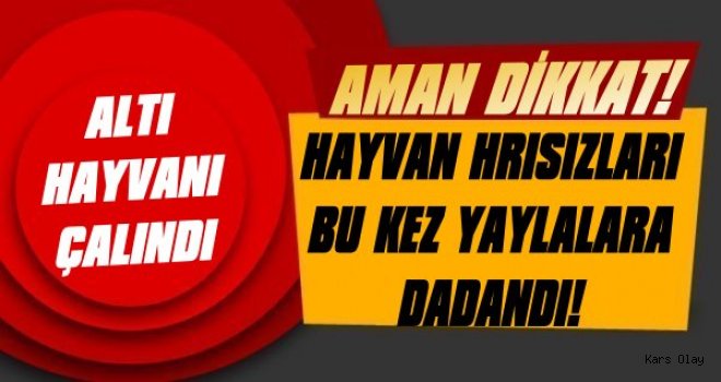 Hırsızlar Bu Kez Yayladan Hayvan Çaldı