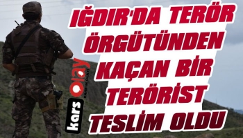 Iğdır'da Bir Terörist Teslim Oldu