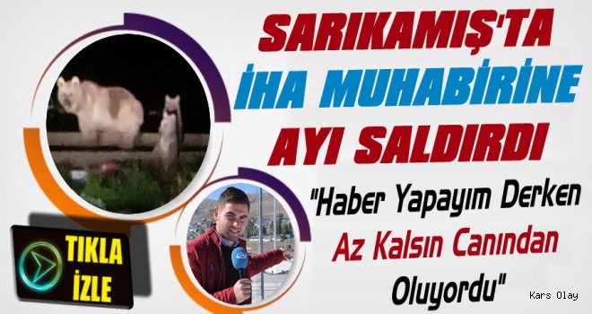 İHA Muhabiri Haber Yaparken Ayı Saldırısına Uğradı