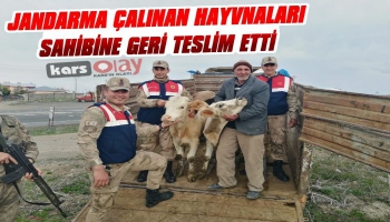 Jandarma Çalınan Hayvanları Gerçek Sahibine Geri Teslim Etti