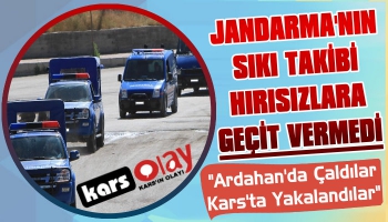 Jandarma’nın Sıkı Takibi Hırsızlara Geçit Vermedi