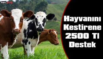 Hayvanını ESK'da Kestirene 2500 Tl  Destek Verilecek