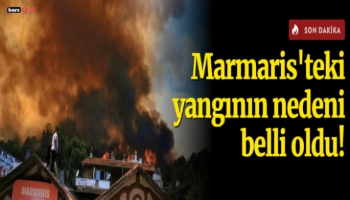 Marmaris'te orman yangının nedeni belli oldu!