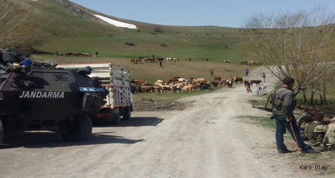 Kağızman da Askeri Güvenlik Bölgesindeki Hayvanlar İndirildi