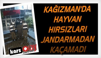 Kağızman'da Hayvan Hırsızları Jandarmadan Kaçamadı