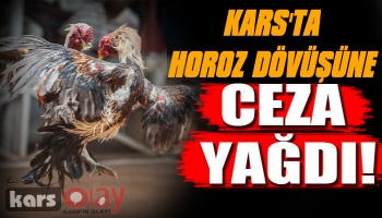 Kağızman'da Horoz Dövüşüne Ceza Yağdı