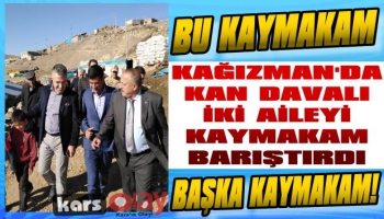 Kağızman'da Kan Davalı 2 Aileyi Kaymakam Barıştırdı