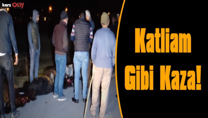 Kağızman'da Katliam Gibi Kaza, 13 Koyun Telef Oldu