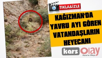 Kağızman'da Yavru Ayı Gören Vatandaşların Heyecanı