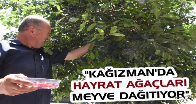 Kağızman’da ‘Hayrat Ağaçları’ Meyve Dağıtıyor