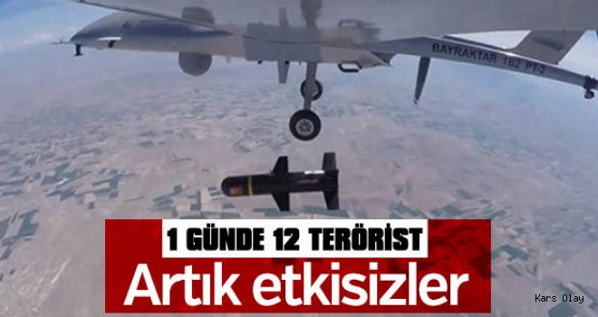 Kağızman'da Öldürülen Terörist Sayısı 12'ye Yükseldi